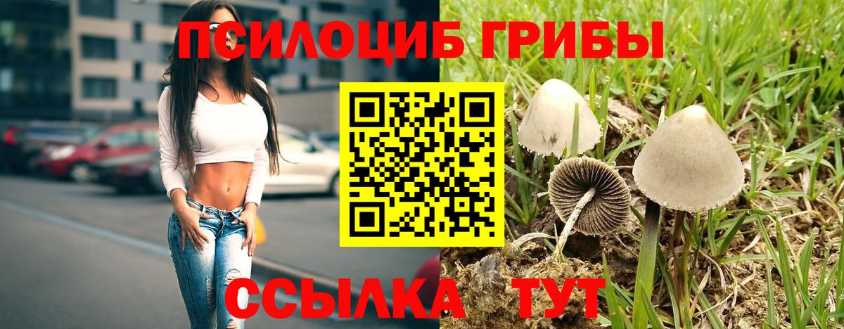 Псилоцибиновые грибы GOLDEN TEACHER Мончегорск