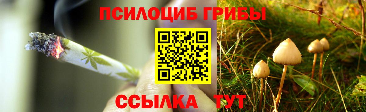 Галлюциногенные грибы MAGIC MUSHROOMS  Вход с VPN  Галлюциногенные грибы ЛСД  Мончегорск 